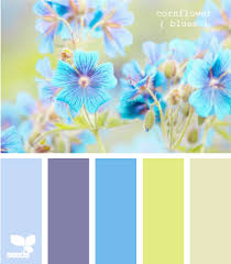 Pin On Color