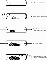 Check spelling or type a new query. Introduction To Non Equilibrium Plasma Cell Biology And Contamination Part I Plasma Medicine