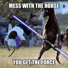 Best One Yet Funny Horses Funny Pictures Star Wars Humor
