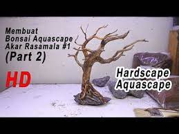 Membuat Bonsai Aquascape Akar Rasamala 1 Part 2 Youtube Bonsai Aquascape Hardscape