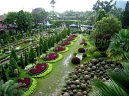 Mondoverde è una giovane realtà imprenditoriale che si occupa di vendita all'ingrosso di piante fiorite, verdi e grasse da interno ed esterno. Giardini Fioriti Piu Belli Del Mondo I Fiori Ai Giardini Suang Nong Nooch Splendidi Giardini Giardino Giardini Tropicali