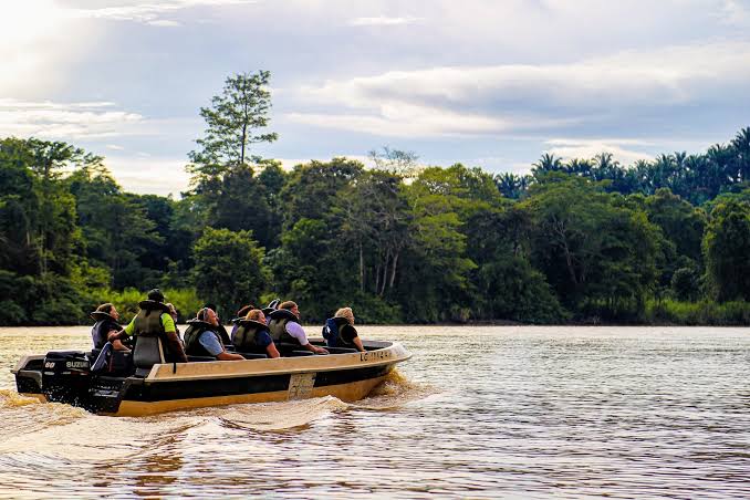 Kinabatangan River (Borneo): How to Visit + What to Expect