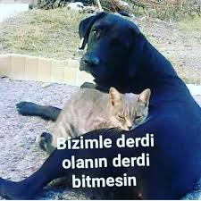 925 Begenme 39 Yorum Instagram Da Ayet Hadis Dua Sunnet Lailaheillallah 571 Cok Ca Aminnn Hayvanseverbirzat 2020 Canta