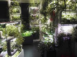 supragarden green wall system kit to