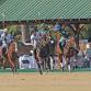 The Willcox Cup Polo event image