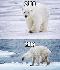 10yearschallenge Save Our Earth Save Planet Earth Save Earth
