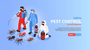 Rodents and cockroaches will produce excrement that you may find around your the biggest telltale sign that you need an exterminator? Pest Control House Hygiene Disinfection Service Isometric Website Banner With Professional Team Exterminating Insects Background Free Vector