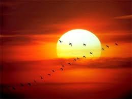 Maybe you would like to learn more about one of these? Cada Amanecer Steemit