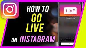 If you want to take excellent positions for hashtags, get into recommended posts, promote an advertising publication or something else, free instagram followers and likes are perfect for such purposes. How To Go Live On Instagram Youtube