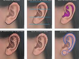 Anime Art Reference Tutorials On Instagram By Artworkbygabrielle Https Www Instagram Com Drawing Tutors How To Draw Ears Drawing Tutorial Drawings Gather round, let me tell you a fun thing about my. anime art reference tutorials on