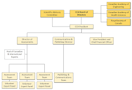 evaluation of the council of canadian academies audits and