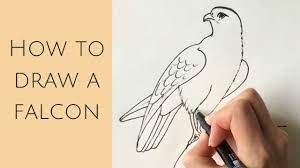 Schnell & günstig online bestellen. Beginners How To Draw A Falcon Youtube