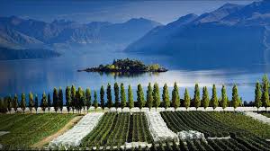 rippon vineyards central otago new zealand lake wanaka new zealand marlborough sounds new zealand