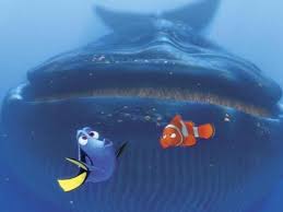 Dory belongs to the family of surgeonfish. Facts In Finding Nemo That Are Scientifically Accurate