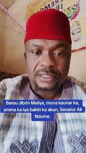 Senator Ali Modu Sheriff