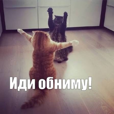 Мем Иди обниму! №193132