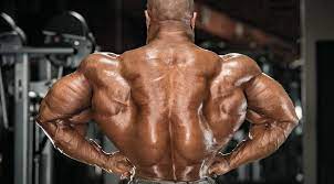 This image is titled lower back muscles bodybuilding and is attached to our article about best back muscles training exercises. 5 Key Back Exercises From Olympia Winning Bodybuilders Muscle Fitness