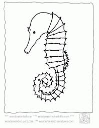 Tropical fish coloring pages] 17. Ocean Plants Pictures Coloring Home