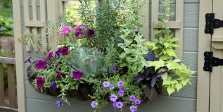 Spring cleaning the interior of your home, choosing the best water features for the once you know exactly how much sun and how much shade your windows have, you can start to look at just the right flowers for that amount of sunlight! 20 Planter Box Ideas To Inspire You