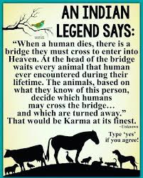 List of top 6 famous quotes and sayings about horse rainbow bridge to read and share with friends on your facebook, twitter, blogs. Instagram Post By Linda F Feb 26 2019 At 11 42pm Utc Animal Quotes Indian Legends Sayings