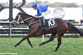 Pin On Horse Racing Continued