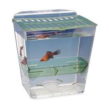 Penn Plax Bst1 Breed N Show Plastic Tank Walmart Com Fish Tank Decorations Cheap Fish Tanks Betta Fish Tank