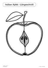 Der Apfel Hus Klasse 2 Grundschulmaterial De