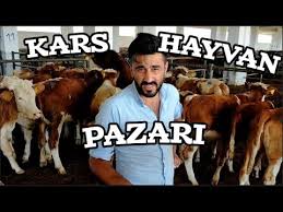 Bereket Tv Hayvan Pazari Kars Youtube