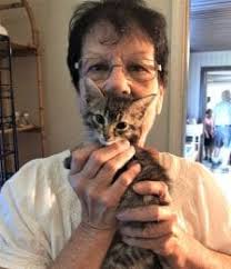 Kitten season has arrived