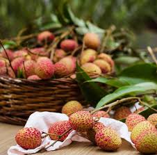 Litchis Lychees Photostory Lychees Photo Story Fruit