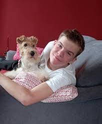 Image result for foxterier drsnosrstý