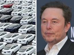 Mark Steketee one of a string of Brisbane Heat players eyeing an Aussie T20  berth