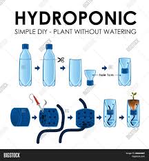 Check spelling or type a new query. Diagram Hydroponics Vector Photo Free Trial Bigstock