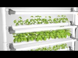 Hydroponic gardening is perfect for apartment dwellers who don't have a lot of space for indoor gardening. Opcom Excellent D I Y Hydroponics Indoor Farming Amp Gardening Youtube Hydroponic Vegetables Indoor Farming Hydroponics