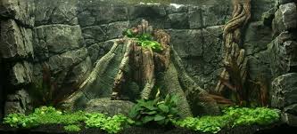 1e42781aaebc69d2ad2f57043e3a15f2 Jpg 835 381 Aquarium Landscape Aquarium Backgrounds Aquatic Garden