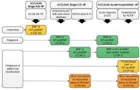 Congestive Heart Failure Laboratory Tests Wikidoc
