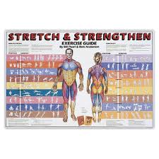 Stretch And Strengthen Chart