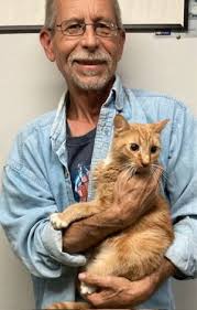 Cats for Adoption Near Macedonia, OH