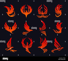 Image result for Phoenix