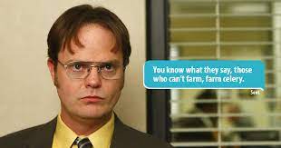 No, i go for the chandelier. Girl Trolls Her Tinder Match Using Dwight Schrute Quotes From The Office Metro News