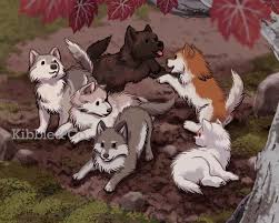 Game Of Thrones Print Direwolves Game Of Thrones Art House Etsy In 2020 Game Of Thrones Art Game Of Thrones Direwolves Dire Wolf