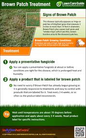 Two or three treatments may be needed during any one growing season depending on your region. Brown Patch Treatment Guide How To Get Rid Of Brown Patch Fungus Disease