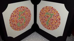 ishihara color blindness test book 38 plates