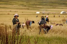 Can the United States feed China? | Grist