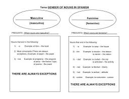 Spanish Nouns And Grammar | Algor Cards