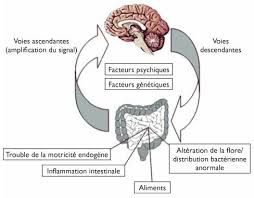 Après l'éjaculation, certains hommes souffrent de symptômes grippaux. Syndrome De L Intestin Irritable Un Diagnostic D Exclusion