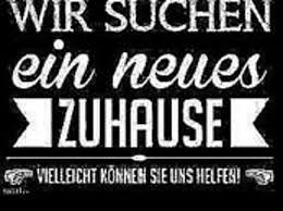 Corlytics.org ist eine so offene community, die darauf abzielt, nutzern eine vielzahl von ideen, schaltplänen, plänen, bildern und vielem mehr zur verfügung zu stellen. Mieten Euskirchen 37 Wohnungen Zur Miete In Euskirchen Mitula Immobilien