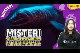 Nah, di palung mariana itu terdapat titik terdalam laut yang disebut challenger deep. Misteri Kehidupan Makhluk Laut Di Palung Mariana Palung Terdalam Di Dunia Kids