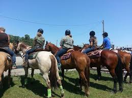 Profile for Team Amanda