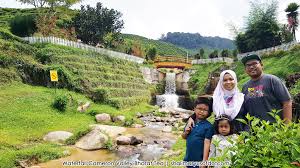 Cameron valley tea house (23). Waterfall Cameron Valley Bharat Tea Cameron Highlands Pahang